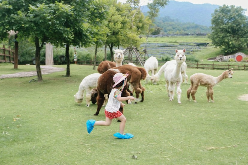 10 Zoo Recommendations in Thailand for Children’s Day 2025, photo 3