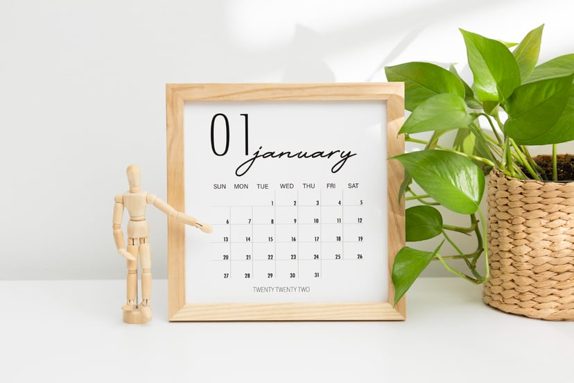 High Angle Desk Arrangement With Plant
