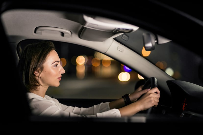 Business Woman Car