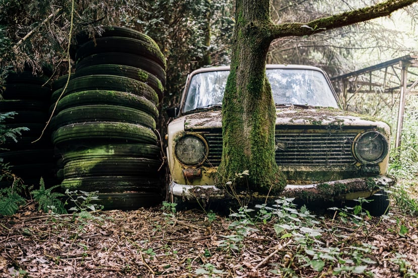 Derelict Abandoned Car Forest
