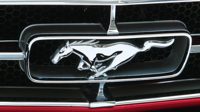 2024 Chinese Zodiac Fortune Predictions Horse