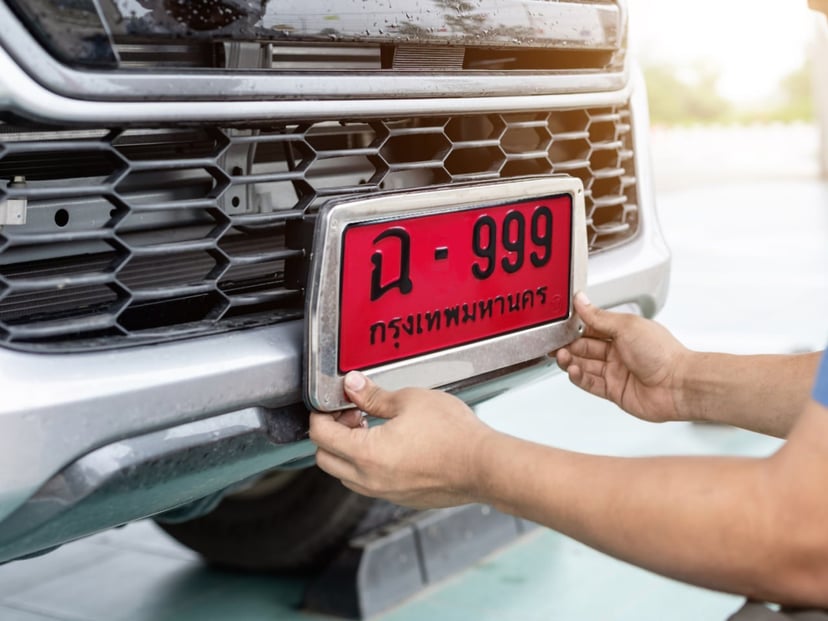 "Fake Red Plates": Penalties and How to Verify, photo 1